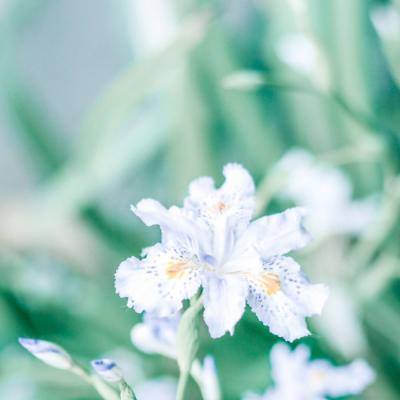 过敏的年轻人一年花超5000元